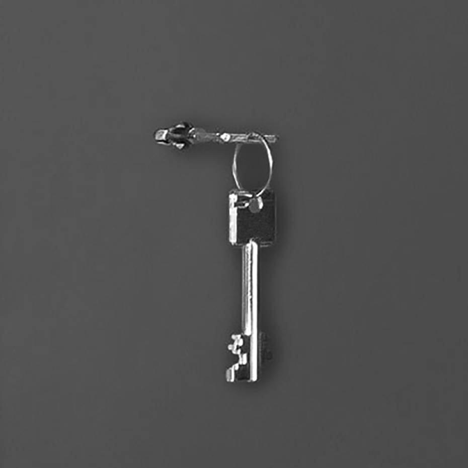 Format GmbH - Schloss Umrüstungen - Doppelbart-hochsicherheitsschlösser